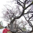 김해건설공업고등학교 이미지