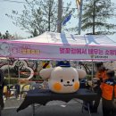 율하유적전시관 광장앞 | 김해 율하 벚꽃축제 아이랑 주말 산책