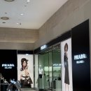 PRADA | 프라다 리나일론 백팩 미디움 사이즈 신세계백화점 본점 내돈내산 구매 후기 그리고 착용 사진