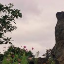 예원로 | 🌿 올레길 16코스, 바람이 선선했던 걷기 좋은 날