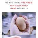 바보오리농장 이미지