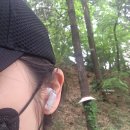 갤럭시 버즈4 실사용 후기, 육아용 오픈형 이어폰 고민된다면