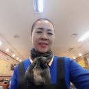 새단장봄단장