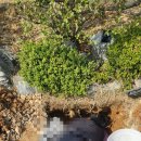 반제농장 이미지