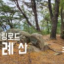 초례산 숲속 힐링로드 이미지