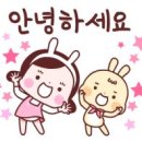 리본동물병원 이미지