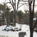 트윈 결혼정보 이미지