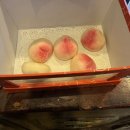 꽃방기원 | [광주 중식 맛집 ]중식코스요리 맛집 마오는 어떨까?