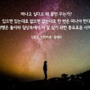 설경이 아름다운 강원도 대관령 선자령,태백과 정선 만항재 (혼행2박3일) 이미지