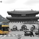 (주)노랑풍선시티버스 이미지