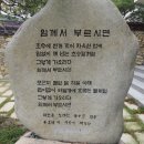 님께서 부르시면 - 신석정 이미지