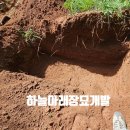 형제장묘 - 계양구 안산로21번길 5-1 | 형제장묘