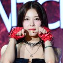 마리 이미지