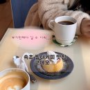 코에오 | 속초 커피 맛집 코에오 내돈내산 후기