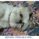 훅 이미지