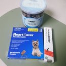 녹십자 약국 | 평택동물약국 추천 후기｜넥스가드스펙트라,아포퀠 구매가능한 평택녹십자동물약국