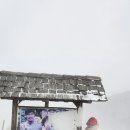 하늘목장 이미지