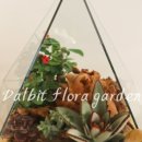 테라리움동물병원 이미지