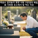 죽음도 갈라놓지 못한 사랑 | 죽음도 갈라놓지 못한 사랑 구준엽의 매일, 故 서희원 묘소에서 밥 먹는 이유