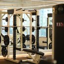 유엘피티 이미지