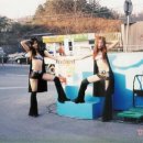 헤르시나 이미지