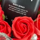 하티바디 이미지