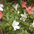 승준농장 이미지