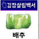 POP정보통신 이미지