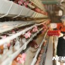 김중현 농장 이미지