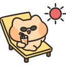 제주게토게스트하우스파티 이미지