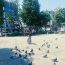 어제 청마루벙에서 잘먹고ㆍ오늘해장은 생태탕~! 국물 최고입니다 이미지