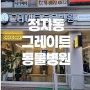 그레이트 동물병원 이미지