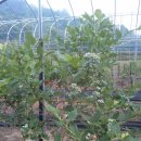 원영농장 이미지