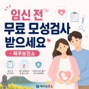 (제주시보건소) 임신 전 무료 모성검사 후기