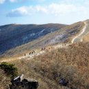 고헌산[高獻山] 1033m 경남 울산 이미지