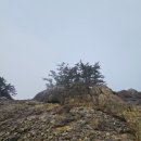 안흥내항 나래교 | 주꾸미가 건져 올린 시간, 태안 안흥나래교에서 만난 고려의 바다