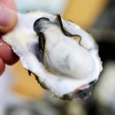 2024 천북 굴축제 이미지