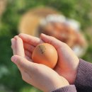 아빠사랑팜 이미지