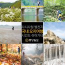 여행뉴스주 이미지