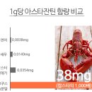 팔팔식품 이미지