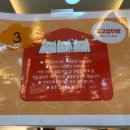 원벨리캣 | 잠실 놀거리 잠실역 고양이카페 길고양이마을 송리단길 데이트