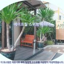 냥냥살롱 | 파타야 여행객 필독! 에이프릴 스위트 파타야 호텔 추천 &amp; 솔직 후기