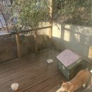 인월분식 이미지