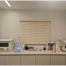 분당-361 이미지