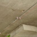 소소한 건축사사무소 이미지