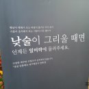 상암일미락 이미지
