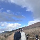 소소원113 이미지