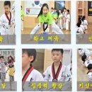 한국체대 봄 태권도장 이미지