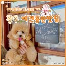 강아지랑 꼭 가야하는 전라도 광주 맛집