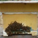 형진농장 이미지